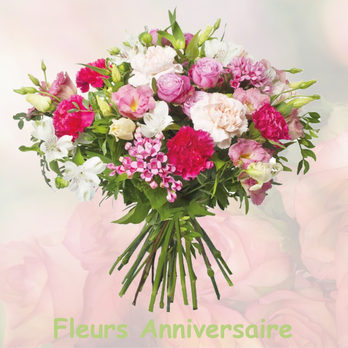fleurs anniversaire VILLEGOUIN